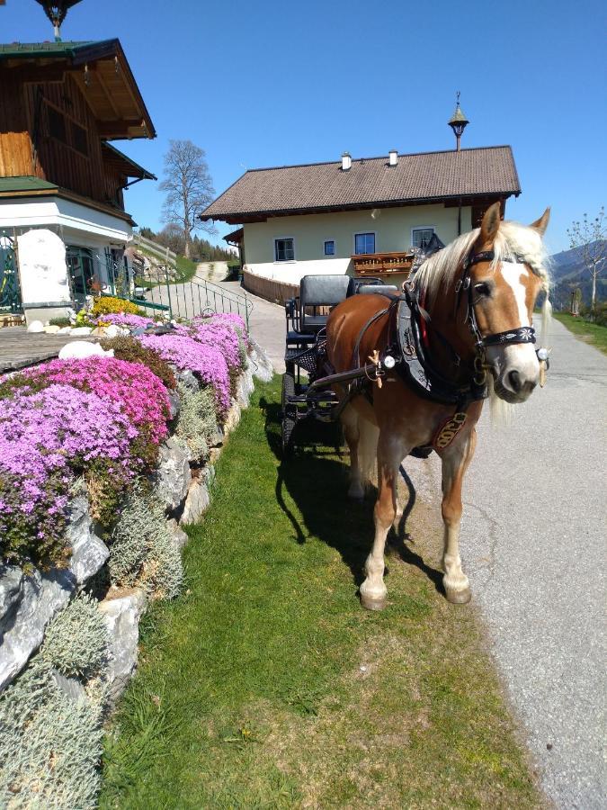 Haus Bucher *